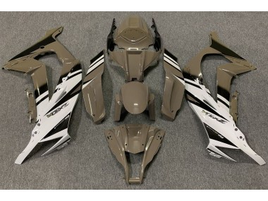 Marrón Brillante & Blanco 11-15 Kawasaki ZX10R Carenado